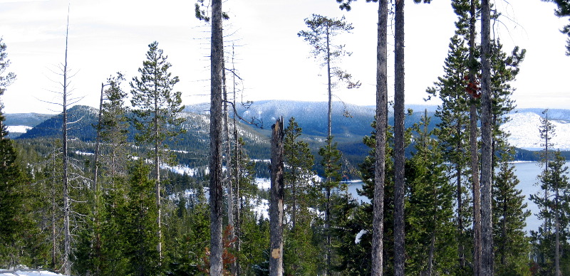 ILF, Cinder cone & main flow